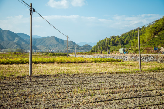 乡村田野