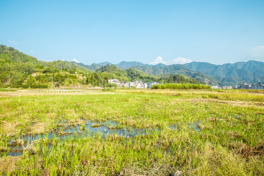 乡村田野