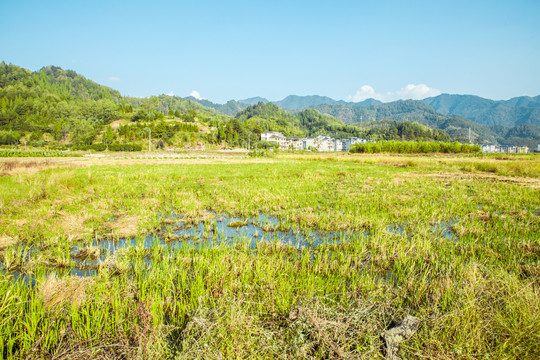 乡村田野