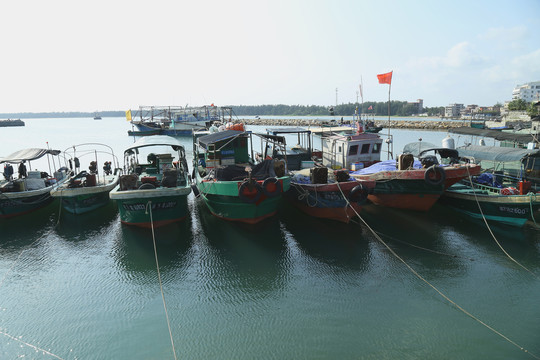 渔港渔船