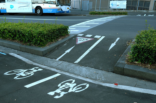 悉尼街景