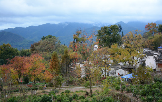 山村秋色