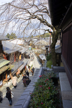 日本旅游