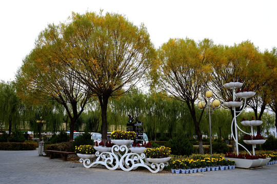 甘肃张掖国家湿地公园