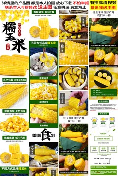 玉米詳情