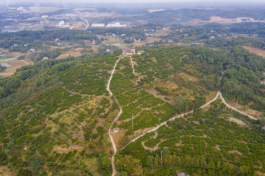 山村秋色