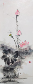 荷花圖