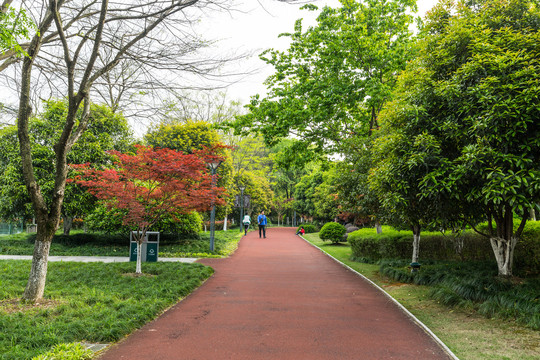 塑胶步道