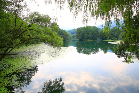 山水装饰画