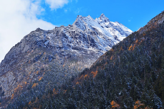 毕棚沟雪山