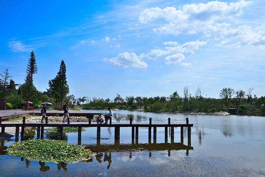 夏日龙湖