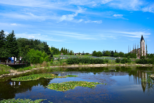 夏日龙湖