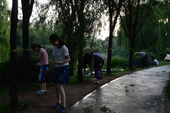 雨后寻蝉蛹