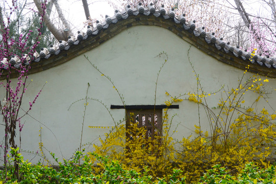 古典花院墙