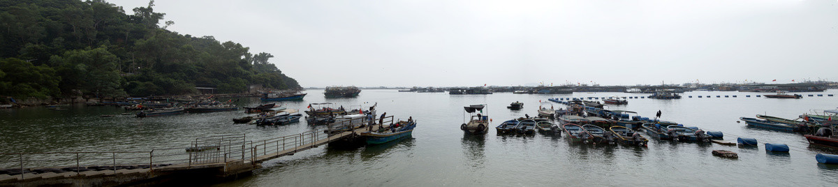 渔船码头全景图