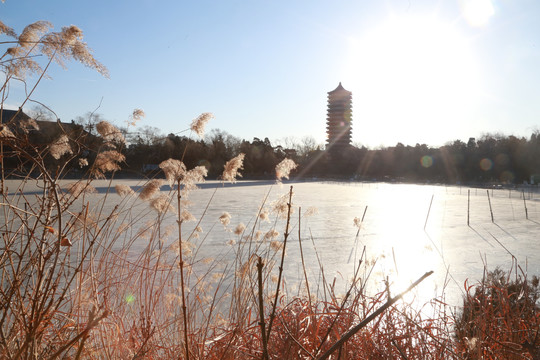 北京大学博雅塔