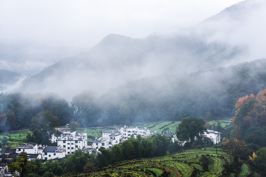 江岭秋景