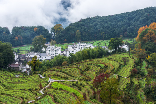 江岭秋景