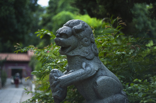 泉州开元寺石狮子