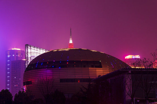 河南艺术中心夜景