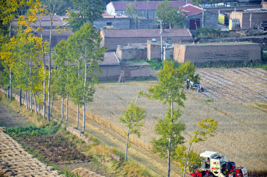 河湟谷地