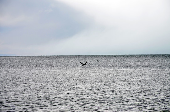 青海湖