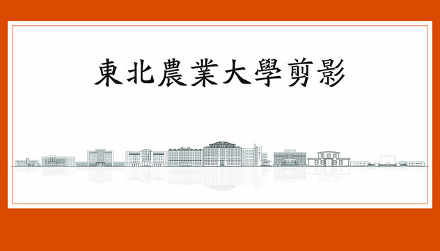 东北农业大学剪影