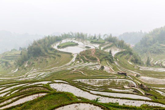 丽水云和梯田