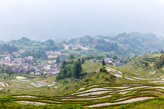 丽水云和梯田