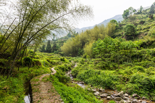 丽水云和梯田