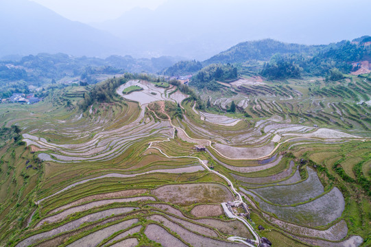 丽水云和梯田