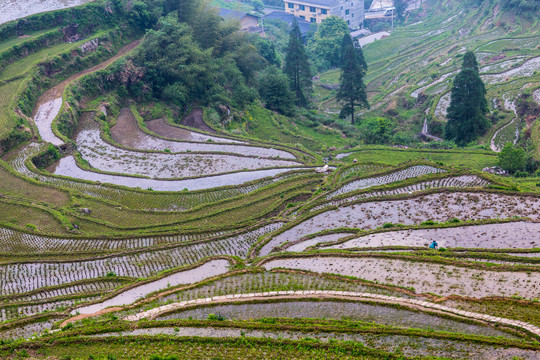 丽水云和梯田