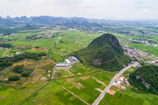 田野