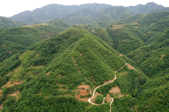 山道弯弯