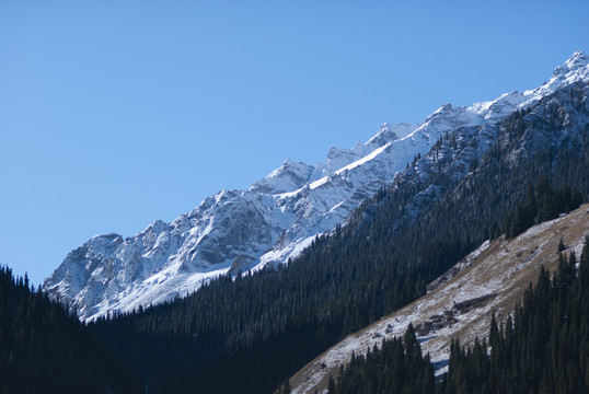 山雪