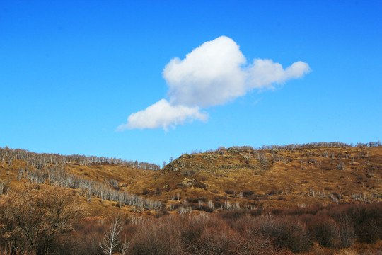 阿尔山风光