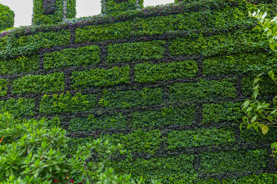 绿植装饰城墙