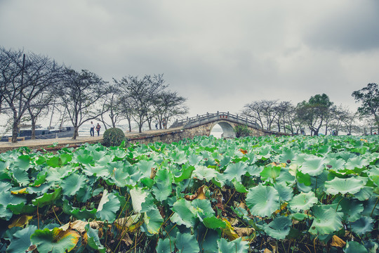 无锡太湖鼋头渚拱桥
