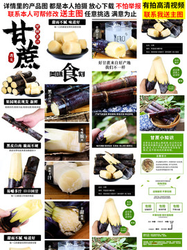 甘蔗詳情