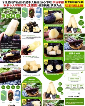 黑皮甘蔗詳情