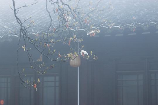 雨雾山寺