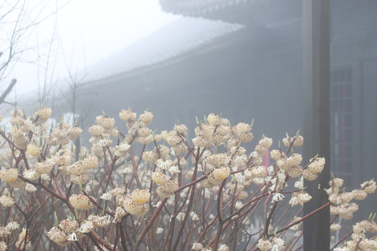 雨雾山寺