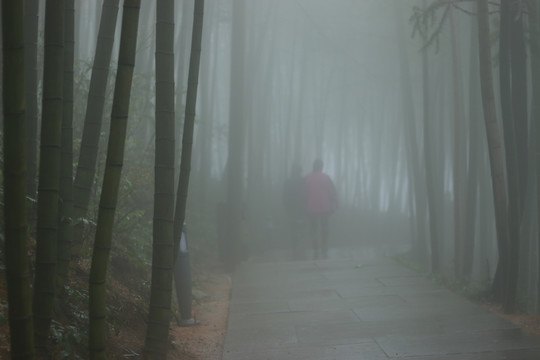 雨雾山寺