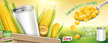 鲜甜玉米罐头广告设计