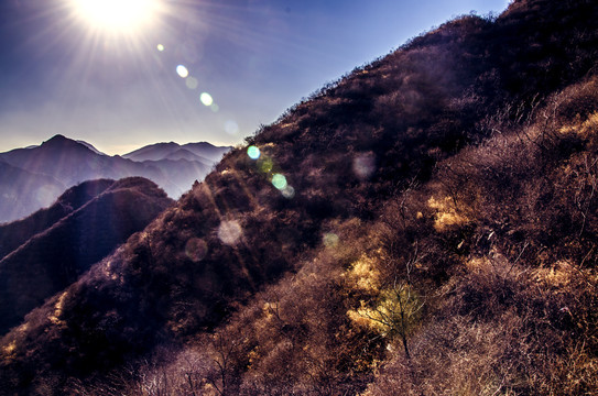 野山