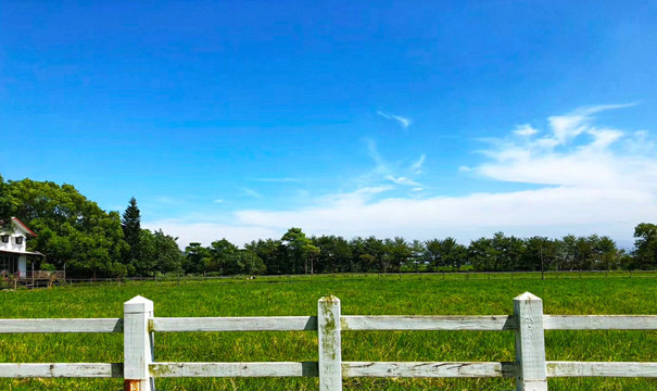 蓝天白云树林草地