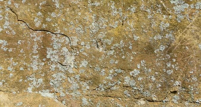 岩石石壁和干枯的地衣背景素材