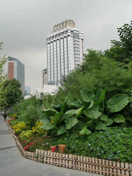 城市绿化