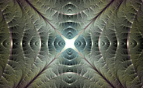花紋圖案