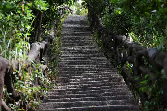 登山道